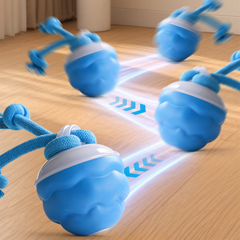Sound-Activated LED Electronic Toy for Dogs