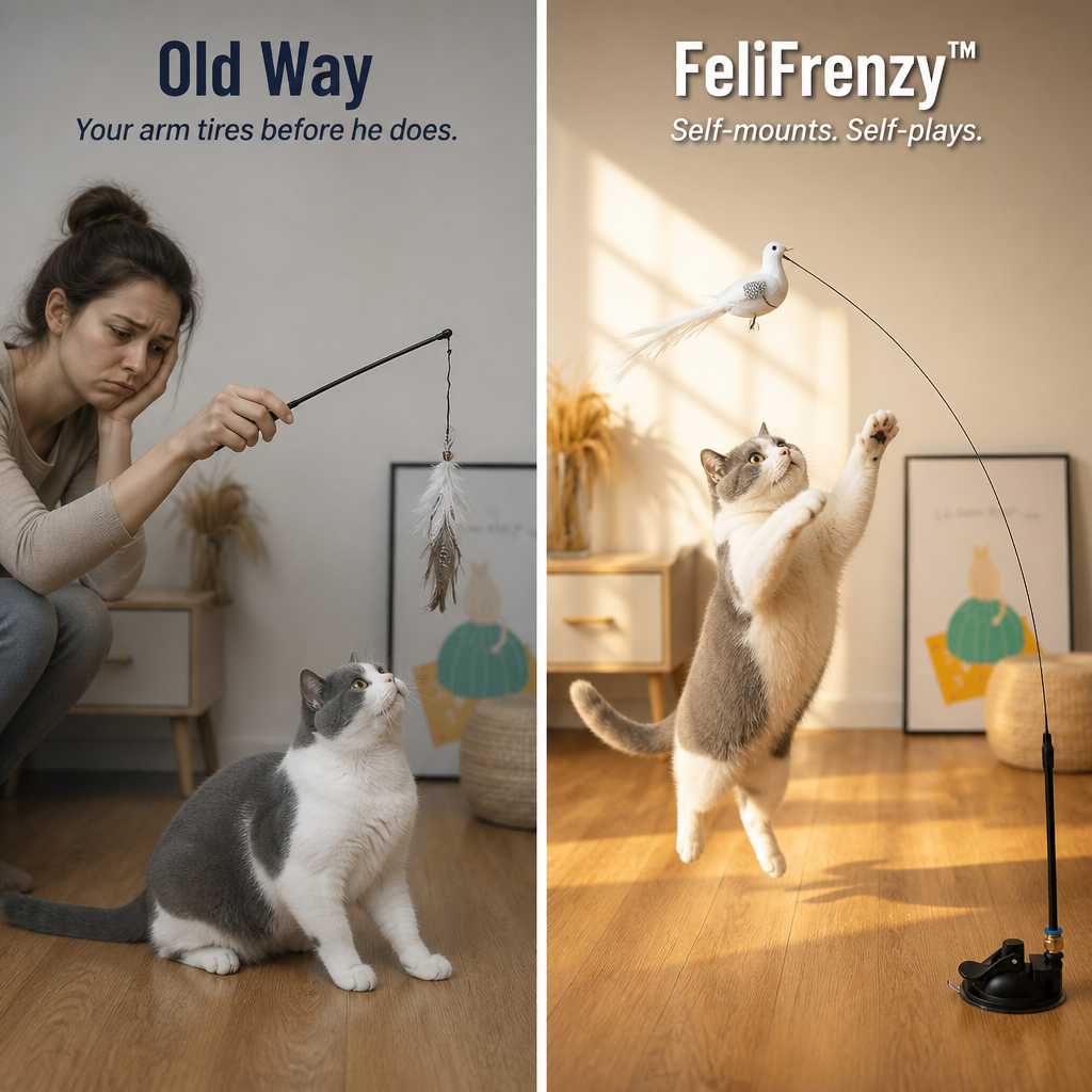 FeliFrenzy™ — Stick It On, Leave It Be, See Your Cat Chase for Hours