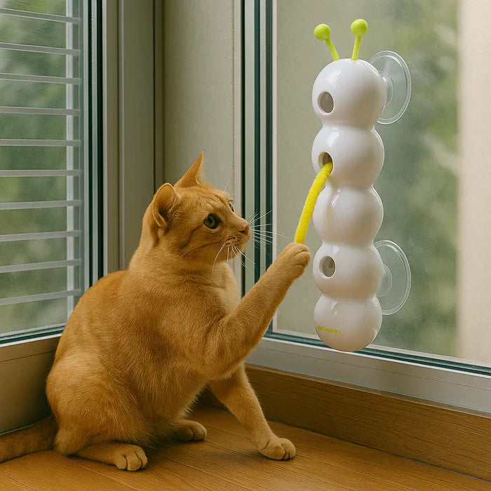 Whirlie™ — Unleash Your Cat’s Wild Hunter for Endless, Hands-Free Fun