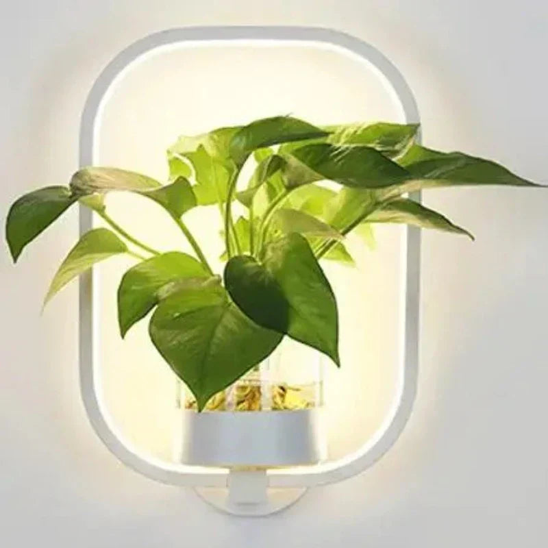 LED Botanical Wall Light with Glass Vase – Round & Oval