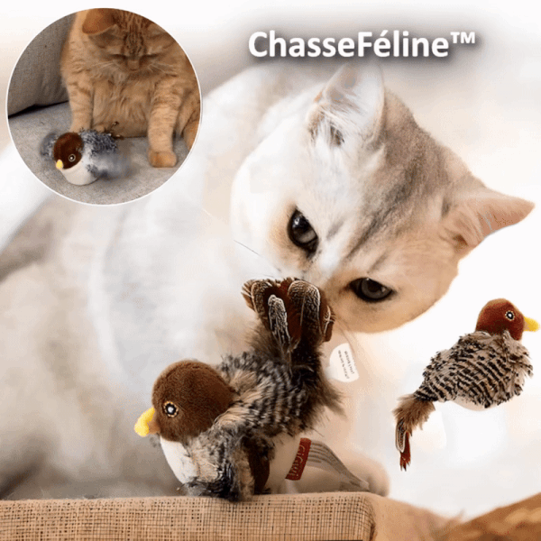 WildProwl™ — Ignite Your Cat’s Wild Instincts for Thrilling, Nonstop Action