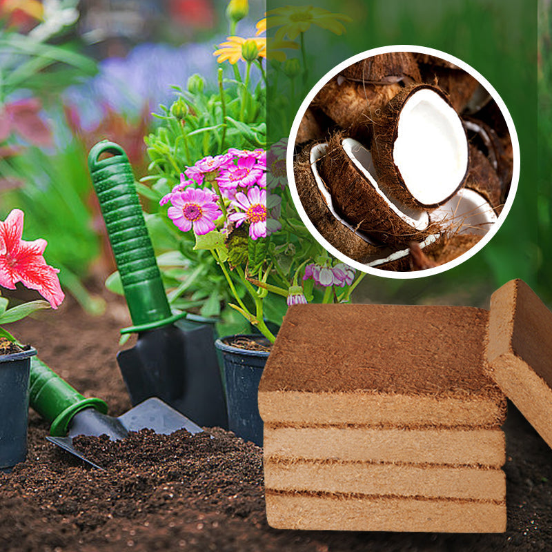 EverGrow Thrive™ — Ignite Explosive Growth with Lush, Breathable Soil That Nourishes Every Root