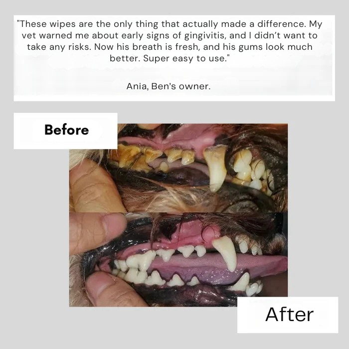 RamoraPaws™ — Instantly Fresh Breath and Happier Pets Without the Struggle