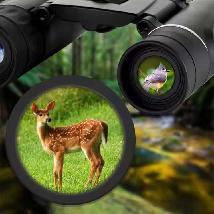 Lightweight HD Binoculars 40x22 for Bird Watching and Travel