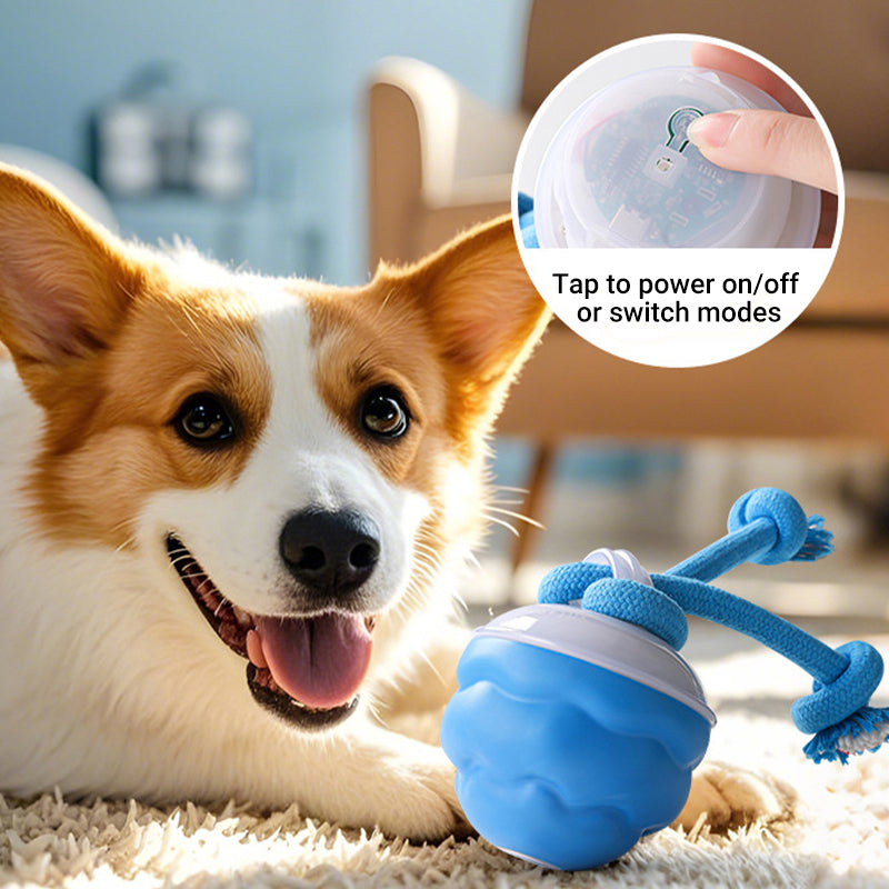 Sound-Activated LED Electronic Toy for Dogs