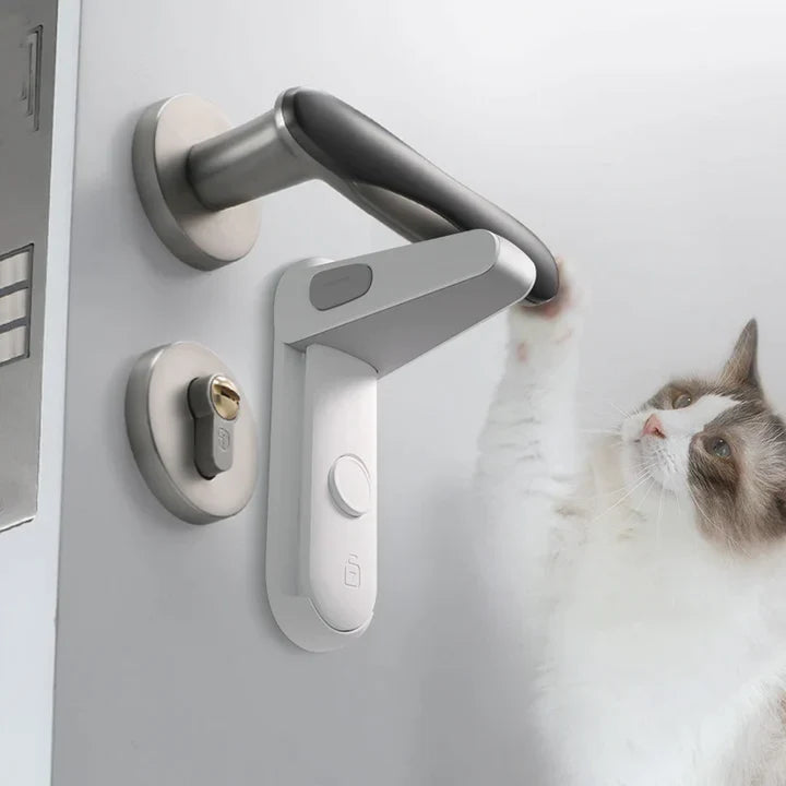 SecureNest™ — Lock In Peace and Protect What Matters Most