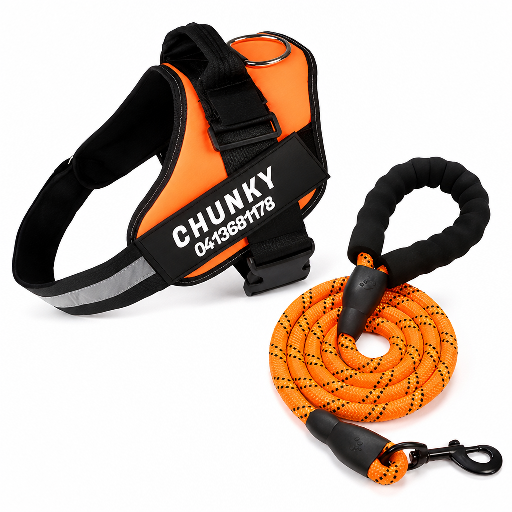 Adjustable No-Pull Front-Clip Dog Harness (Custom Engraving)