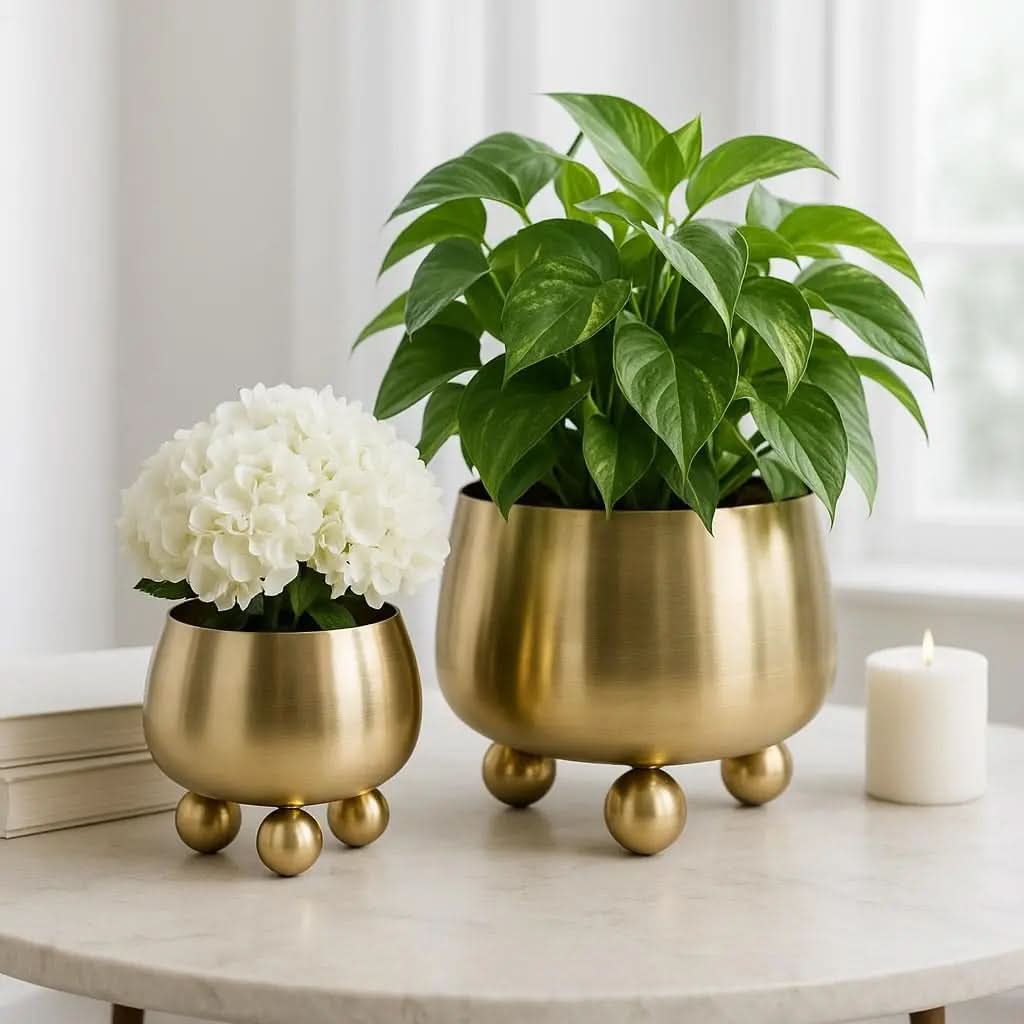 Contemporary Ceramic Plant Pot Collection