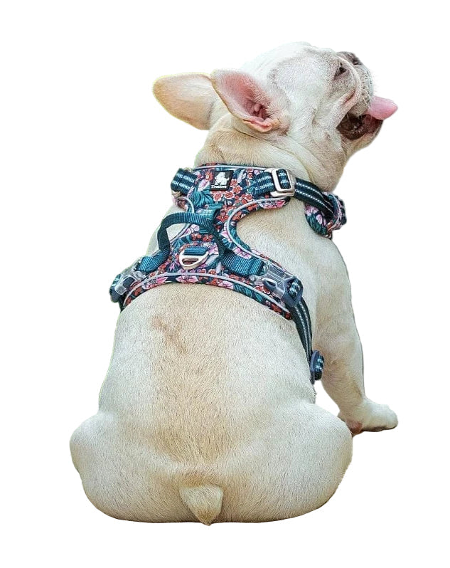 Adjustable Dog Harness Made with Breathable Material