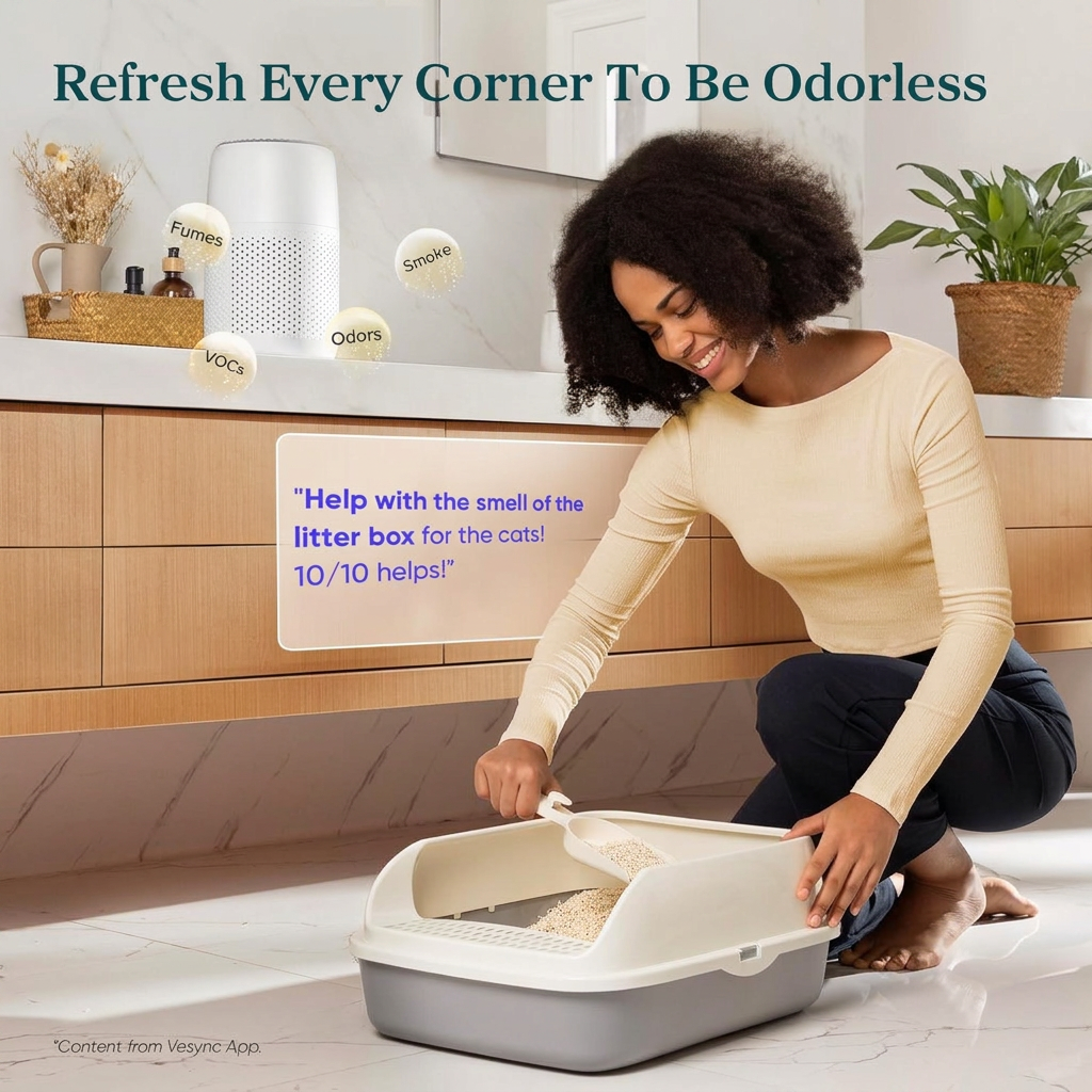 Desktop Air Cleaner with Fragrance Pad and Triple Filter System