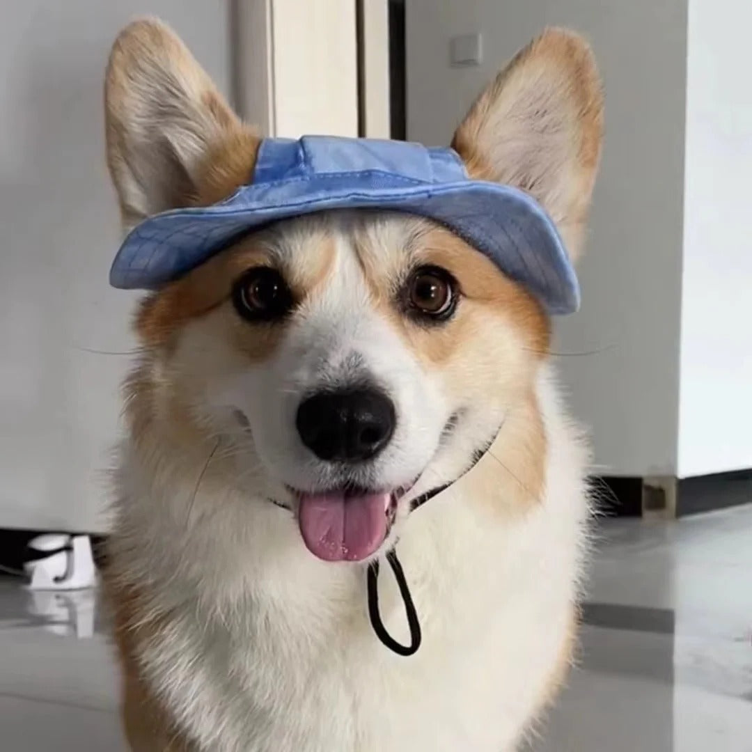 Adjustable Strap Dog Sun Hat with Wide Brim