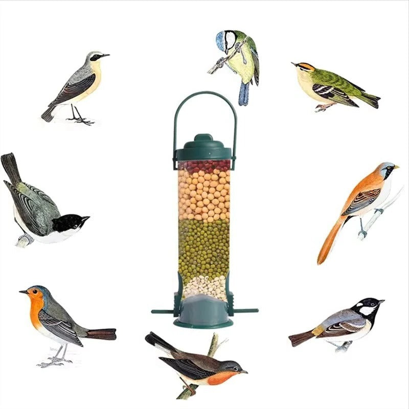 Metal Bird Feeder with Window Attachment and Adjustable Perch Design
