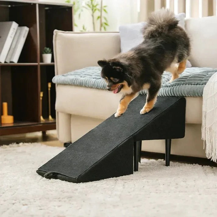 Dog Ramp with Foldable Steps for Easy Pet Access