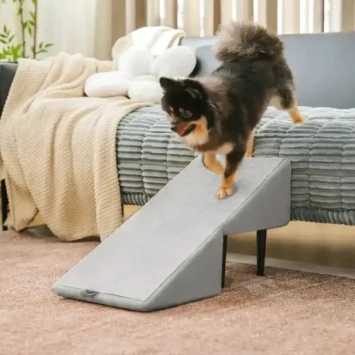 Dog Ramp with Foldable Steps for Easy Pet Access
