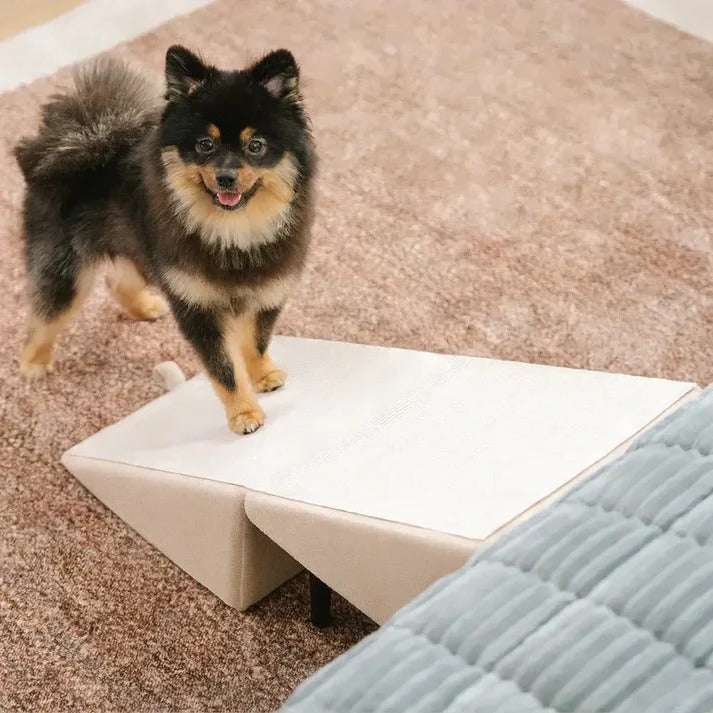 Dog Ramp with Foldable Steps for Easy Pet Access