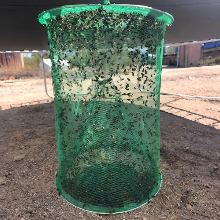 Outdoor Insect Trap for Gardens and Barns