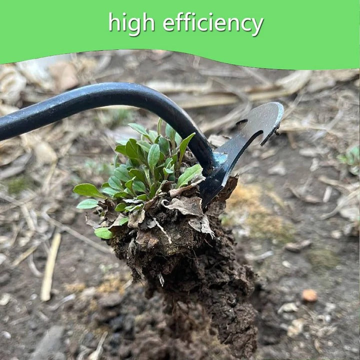 Lawn Care Hand Tool for Weeding with Four Steel Teeth