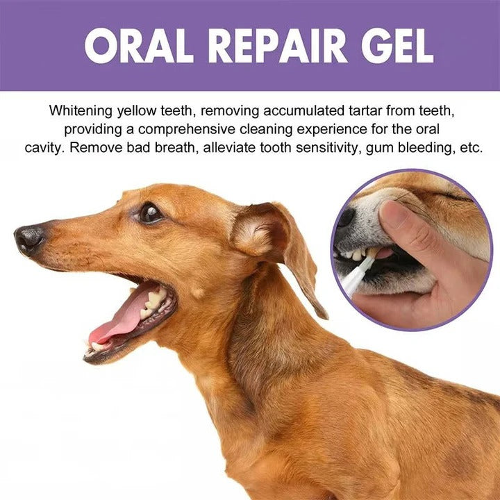 Set of 3 Oral Gels for Dog Teeth and Gum Health