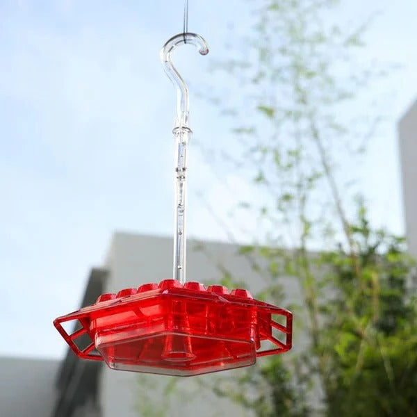 Ant Moat Design Hummingbird Feeder for Hanging Use