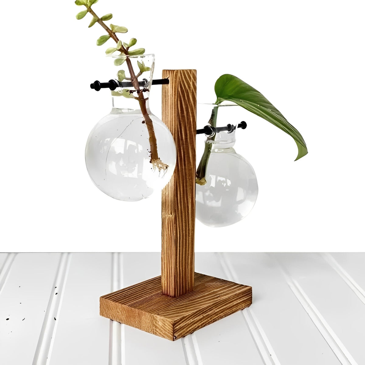 Glass Hydroponic Planter with Wooden Base