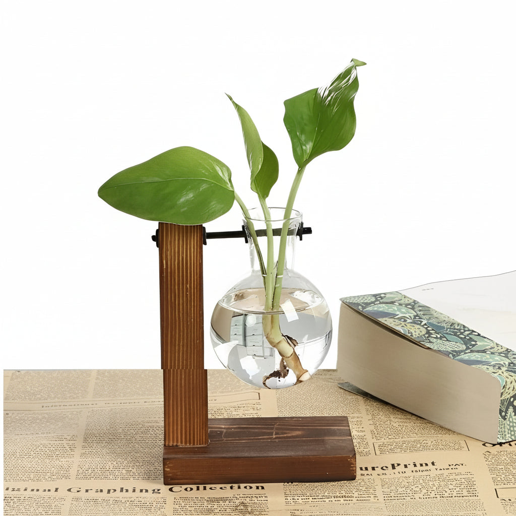 Glass Hydroponic Planter with Wooden Base