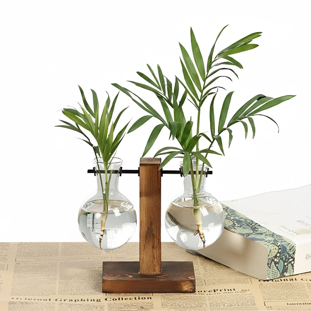 Glass Hydroponic Planter with Wooden Base