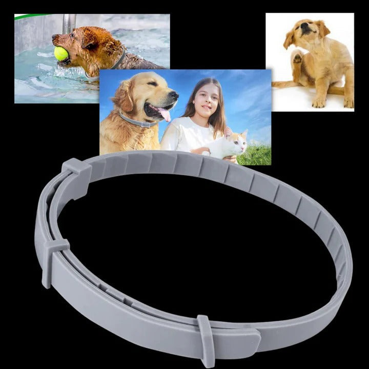 Pet Collar for Flea and Tick Prevention