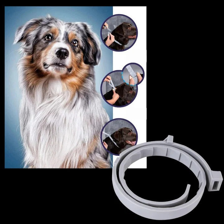 Pet Collar for Flea and Tick Prevention