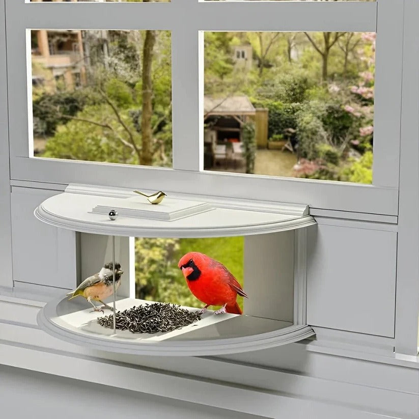 Acrylic Bird Feeder for Windows – Suction Cup Mounted Design