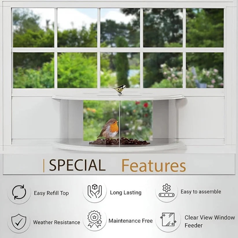 Acrylic Bird Feeder for Windows – Suction Cup Mounted Design