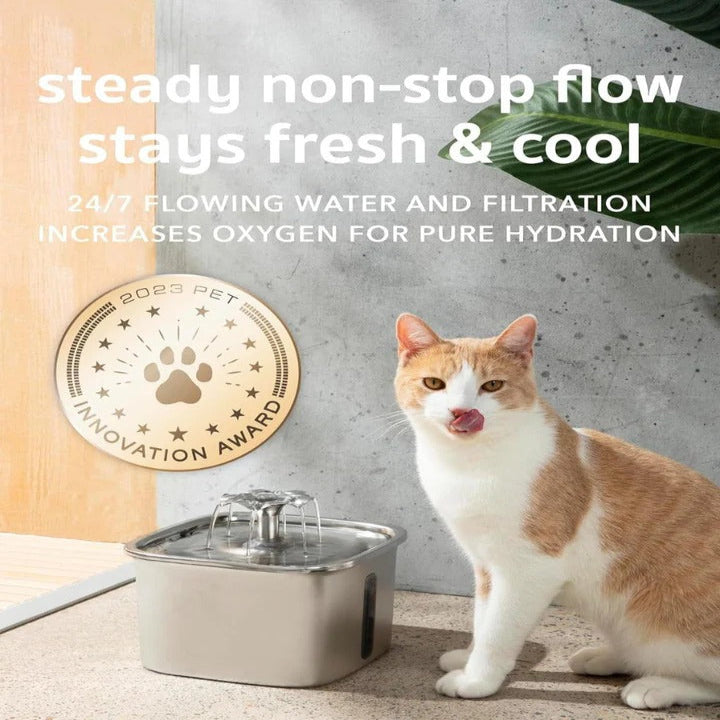 Low Noise Pump Drinking Fountain in Stainless Steel for Cats