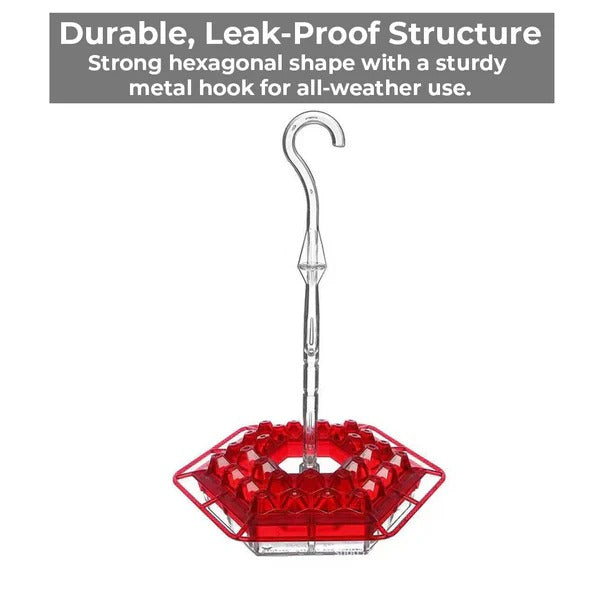 30-Port Hummingbird Feeder with 12oz Capacity for Hanging