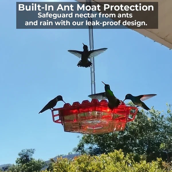 30-Port Hummingbird Feeder with 12oz Capacity for Hanging