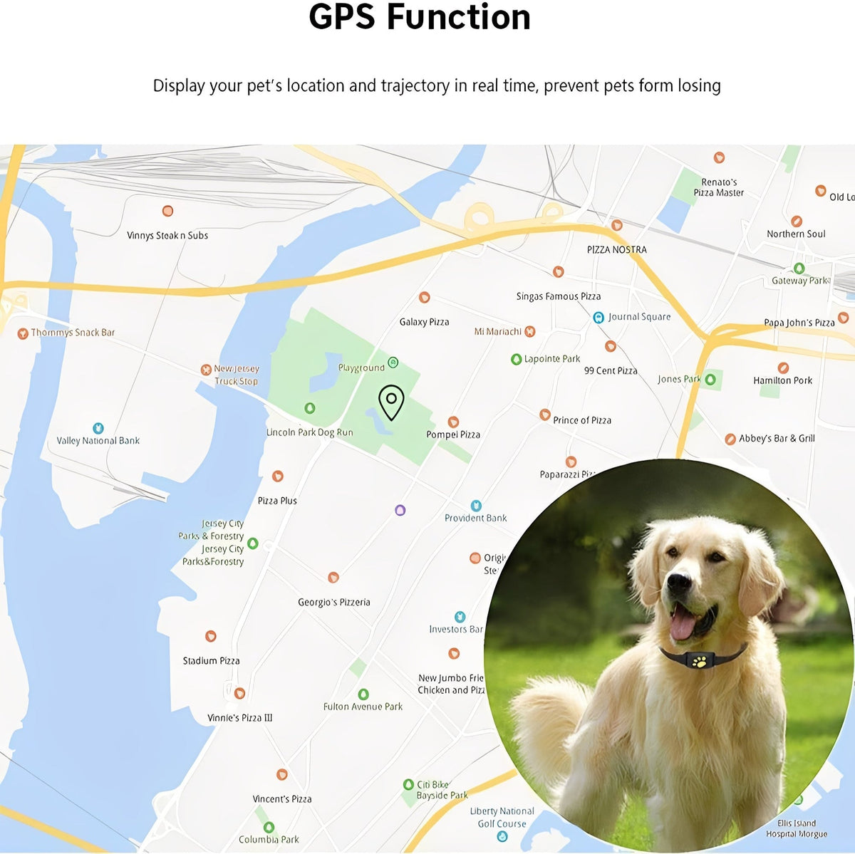 Real-Time Tracking GPS Collar for Pets with Geo-Fence Notifications