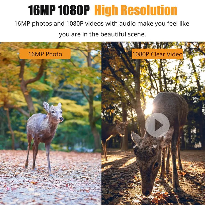1080P Night Vision Trail Camera for Outdoor Use - Wireless