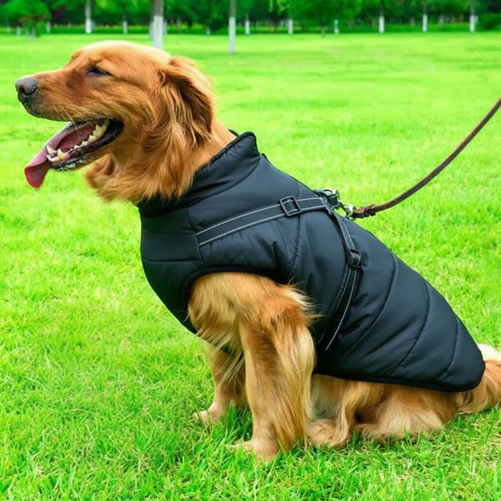 Winter Dog Coat with Harness, Waterproof and Sherpa Fleece Lining