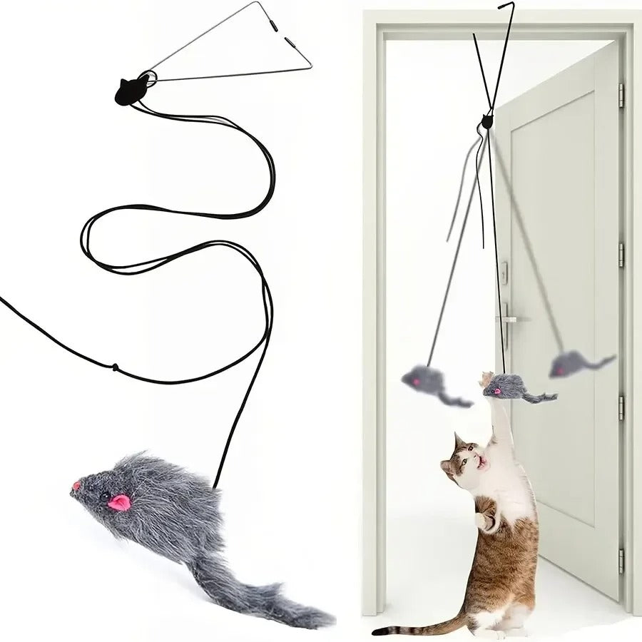 Door-Mounted Interactive Toy for Cats with Stretchy Cord