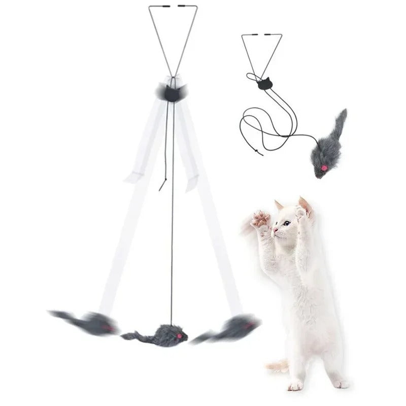 Door-Mounted Interactive Toy for Cats with Stretchy Cord