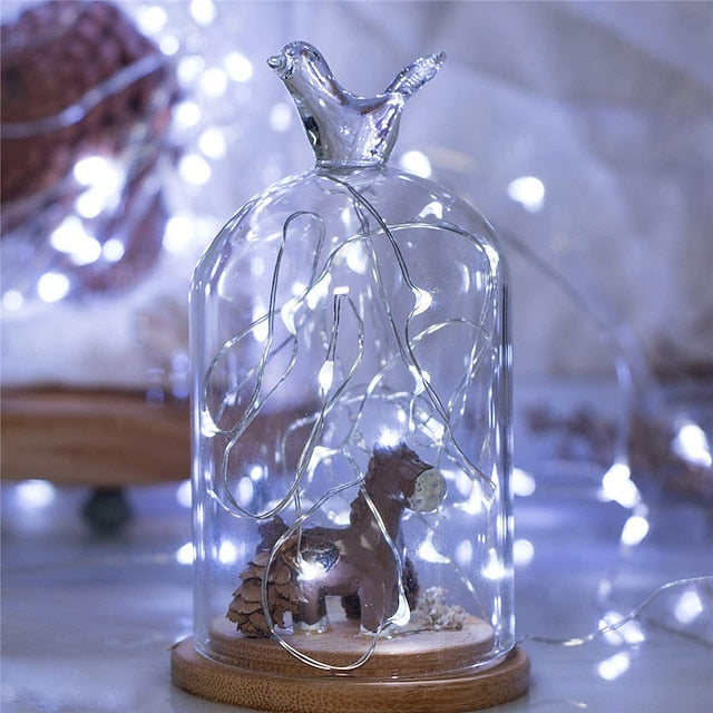 20 LED Battery-Powered Fairy Lights on 7Ft Flexible Silver Wire for Weddings and Mason Jar Decoration