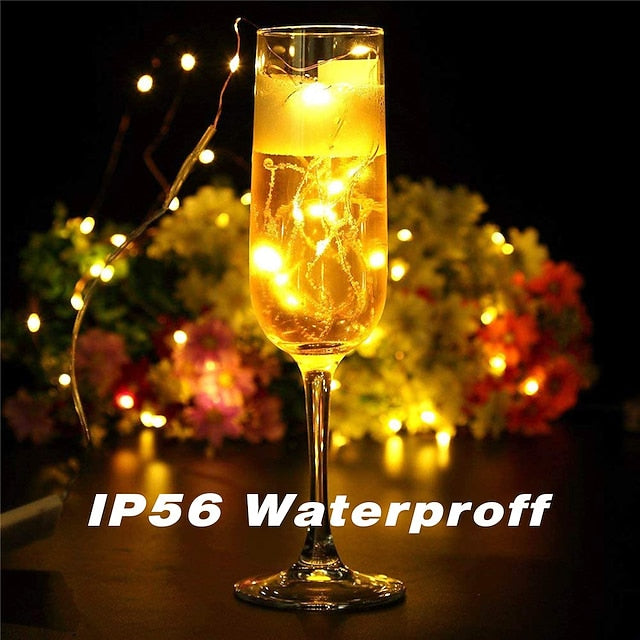 20 LED Battery-Powered Fairy Lights on 7Ft Flexible Silver Wire for Weddings and Mason Jar Decoration
