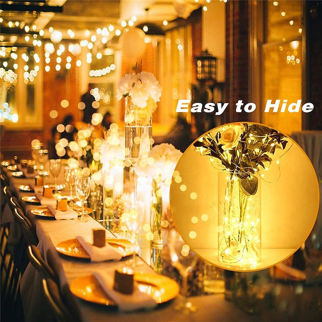 20 LED Battery-Powered Fairy Lights on 7Ft Flexible Silver Wire for Weddings and Mason Jar Decoration