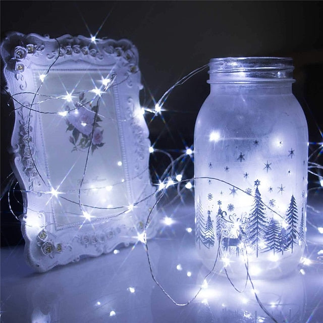 20 LED Battery-Powered Fairy Lights on 7Ft Flexible Silver Wire for Weddings and Mason Jar Decoration