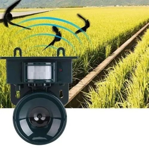 Motion Sensor Solar Bird Deterrent – Ultrasonic and Sound Features