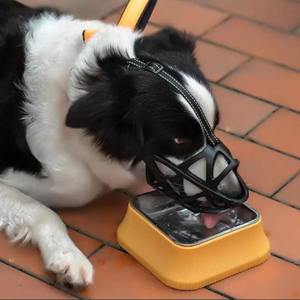 Adjustable Basket Muzzle for Dogs | Anti-Bark and Anti-Bite Protection
