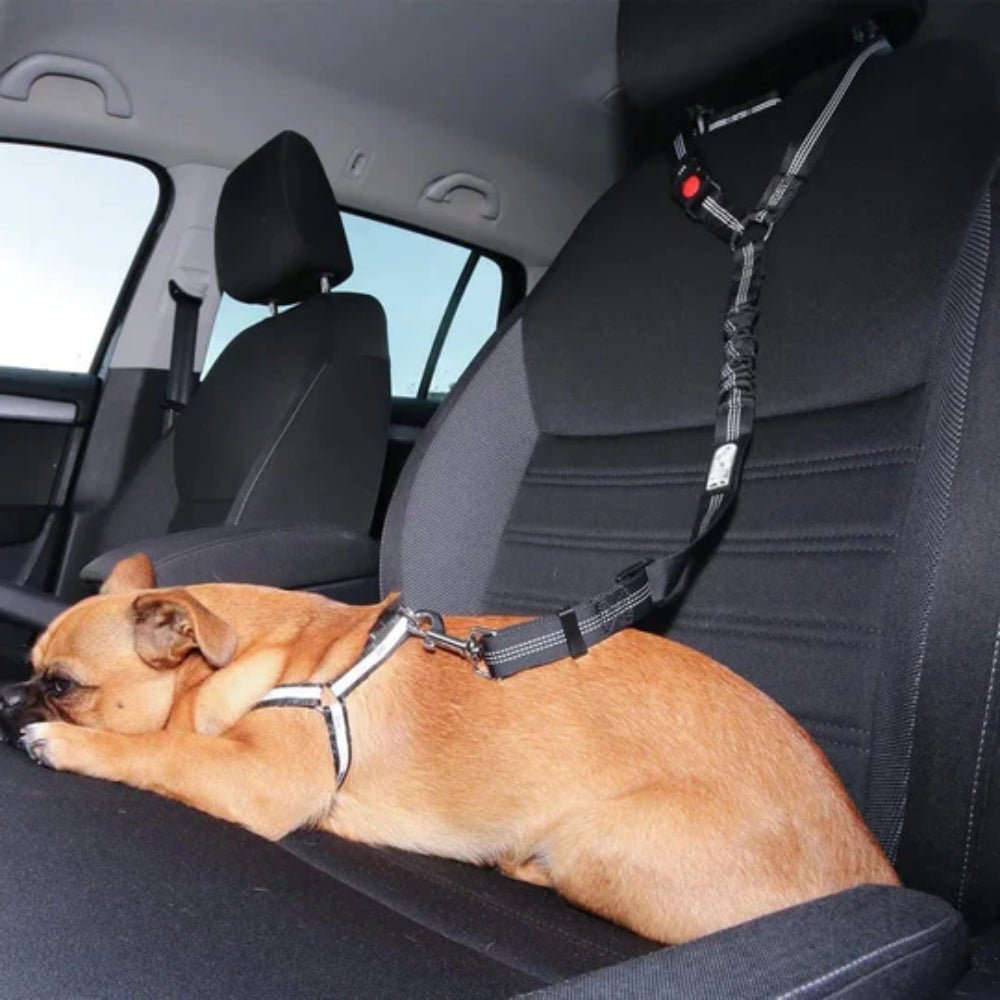 Safety Adapter for Car Seat Belts – Extender for Adults and Children