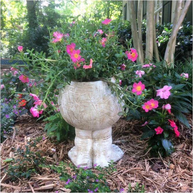 Drainage Face Planter Crafted from Synthetic Resin