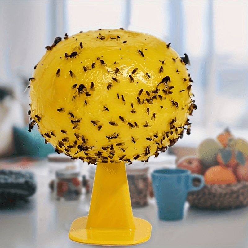 Insect Trap for Indoor and Outdoor Control of Flies and Fruit Flies