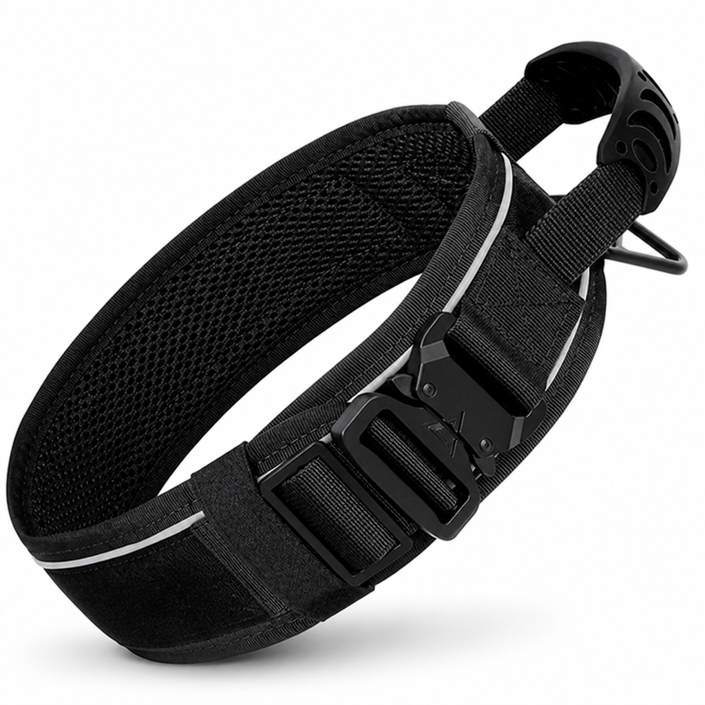 Durable Nylon Built-In Handle Reflective Dog Training Collar (For Large Dogs)