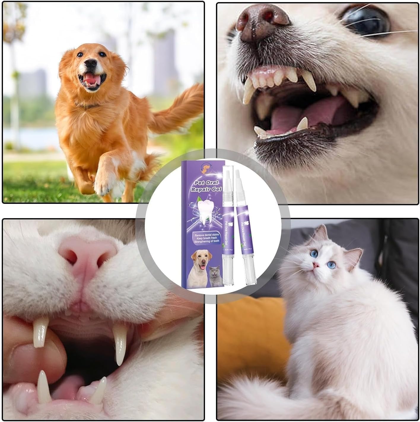 VitaSmile™ — Transform Your Pet’s Breath and Smile Into Instant Cuddle Magic