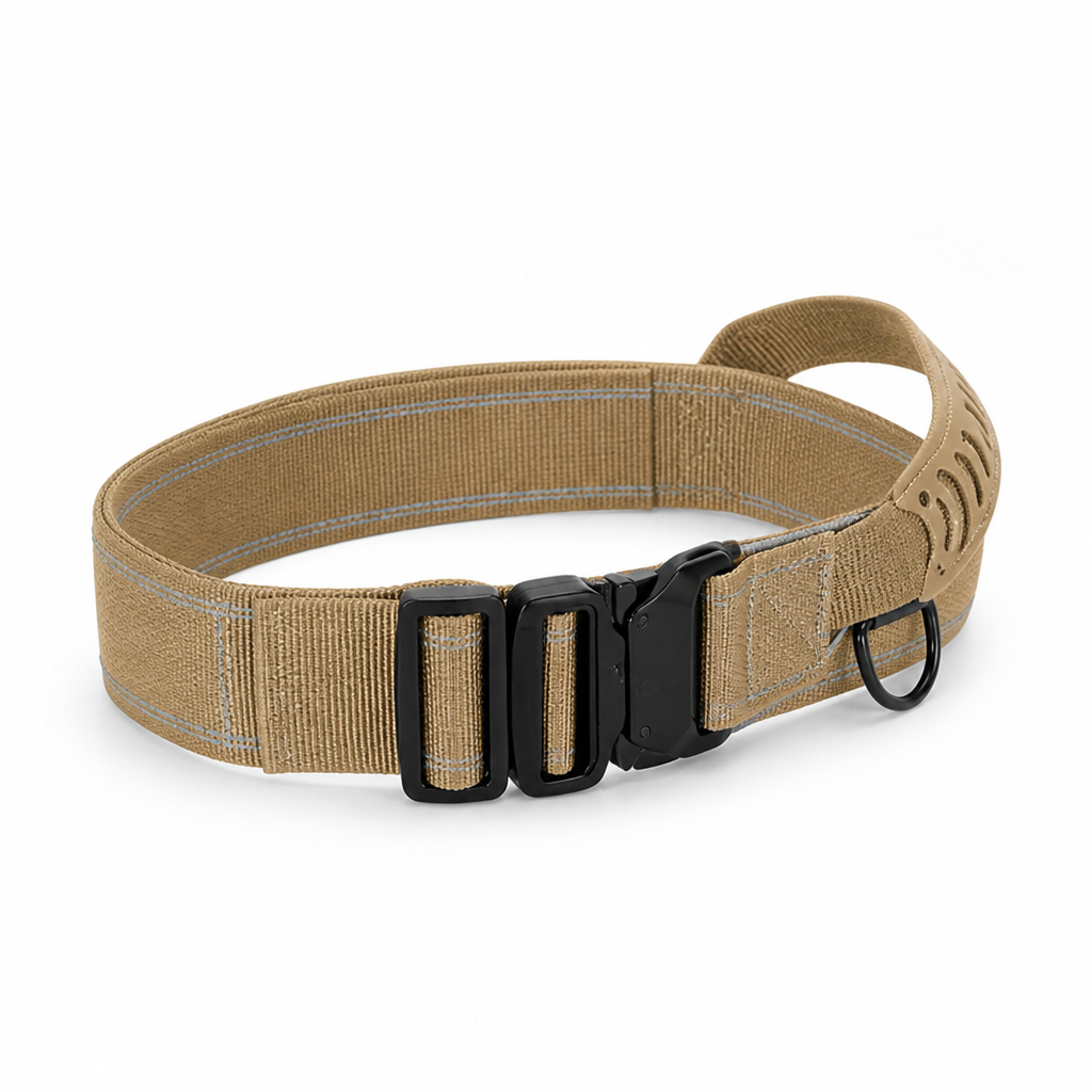 Durable Nylon Built-In Handle Reflective Dog Training Collar (For Large Dogs)